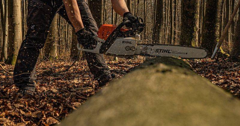 Pexels/FabianKöhler